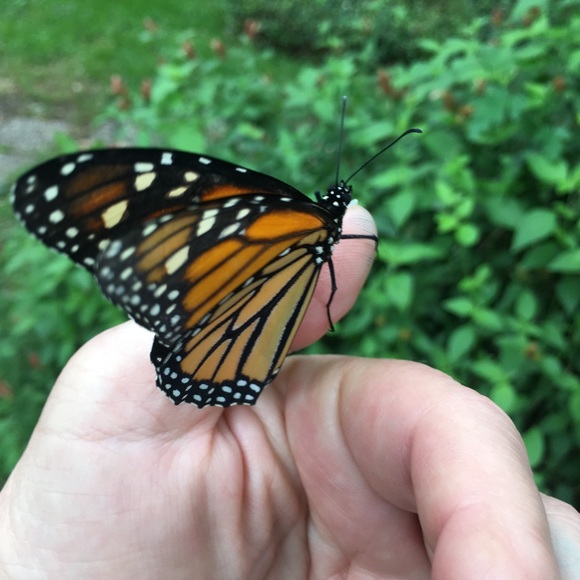 We are here to serve & spread God’s love. - Picture 12 of 15